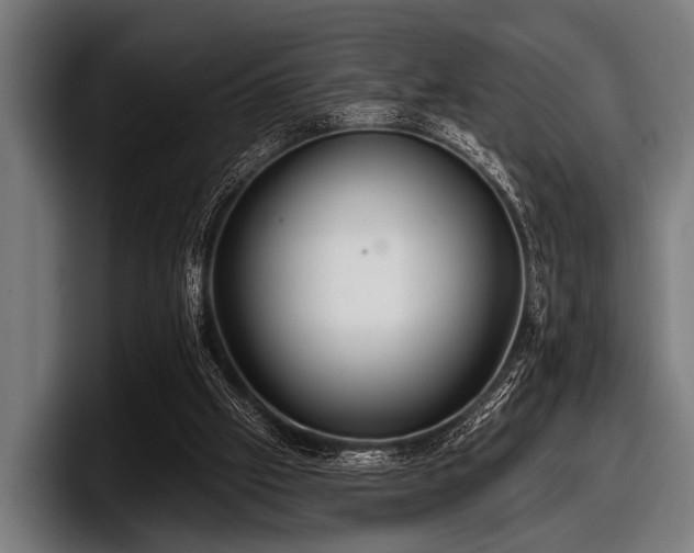 X0000097810057200803201426