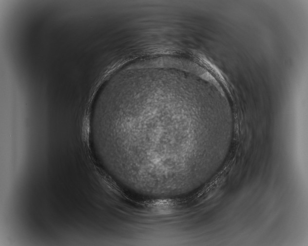 X0000097810059200803201426