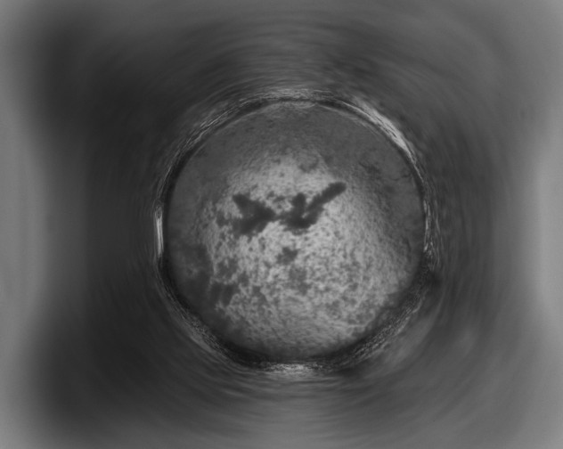 X0000097810061200803201426