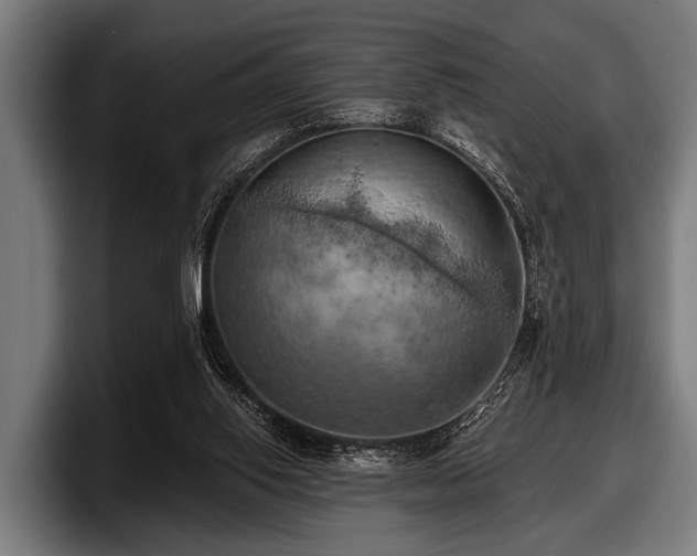 X0000097810062200803201426