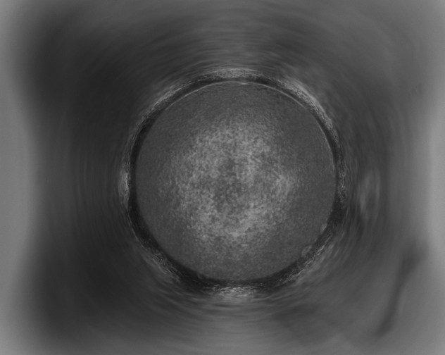 X0000097810063200803201426