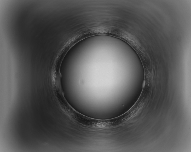 X0000097810064200803201426