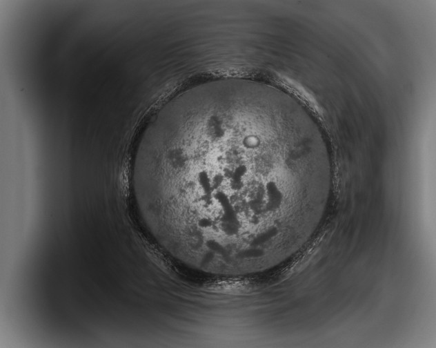 X0000097810065200803201426