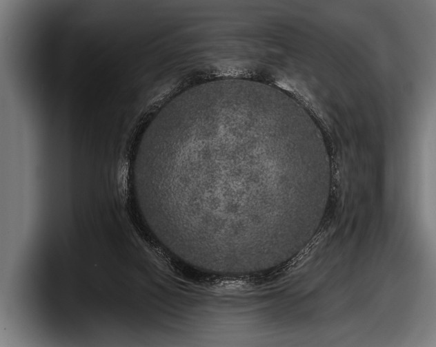 X0000097810066200803201426