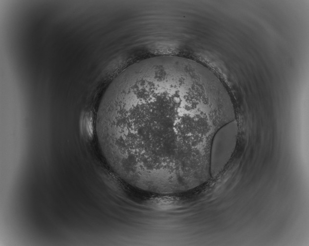 X0000097810069200803201426