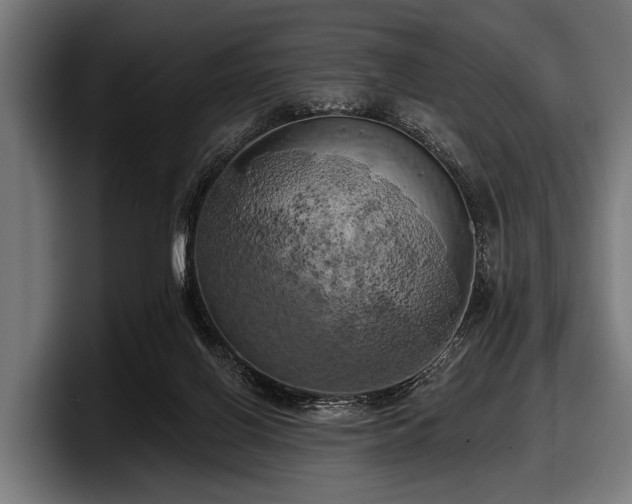 X0000097810070200803201426