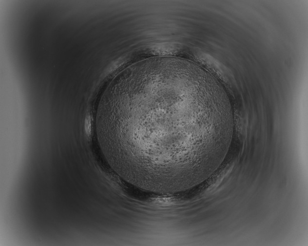 X0000097810071200803201426