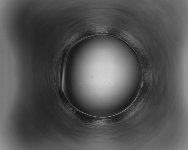 X0000097810072200803201426