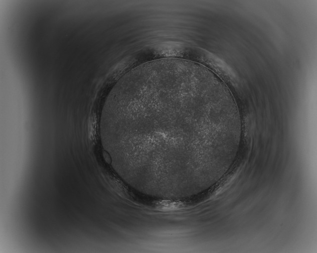 X0000097810073200803201426