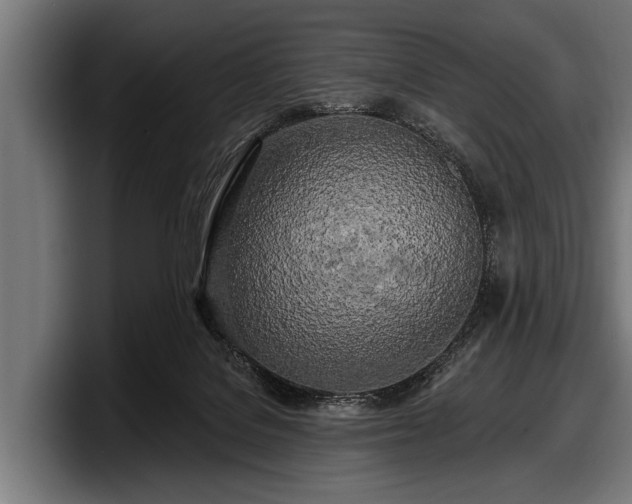 X0000097810076200803201426