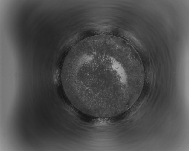 X0000097810077200803201426