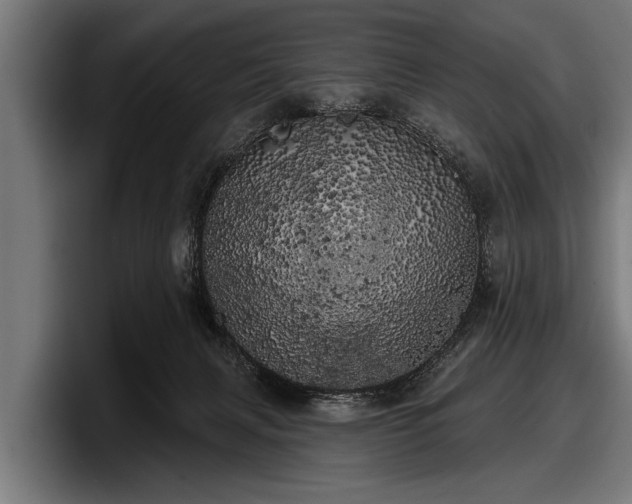 X0000097810079200803201426