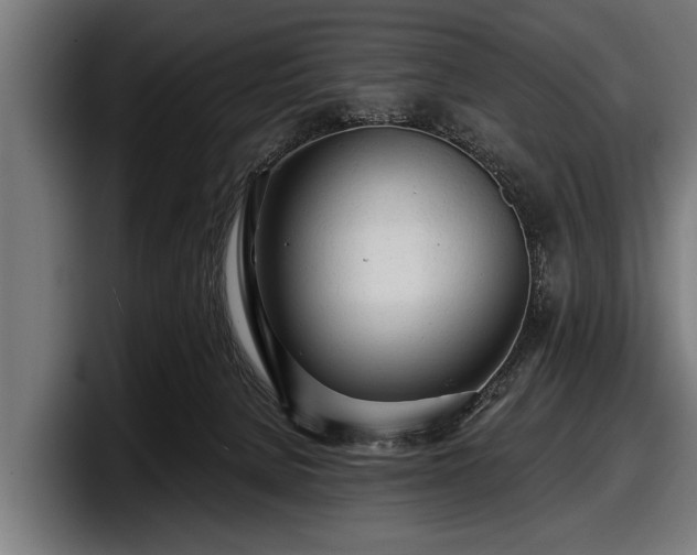 X0000097810080200803201426