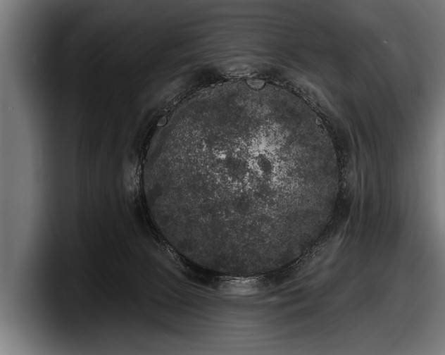 X0000097810081200803201426