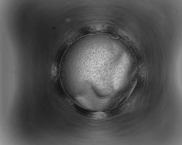 X0000097810087200803201426