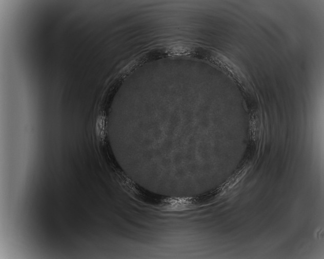 X0000097810093200803201426