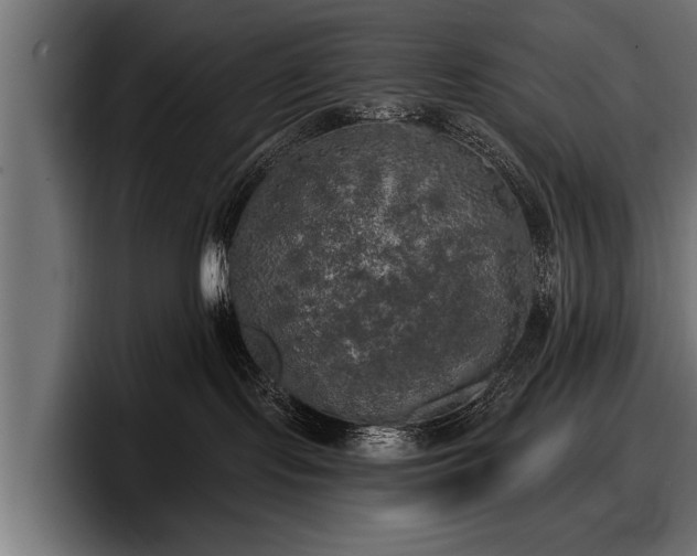 X0000097810095200803201426