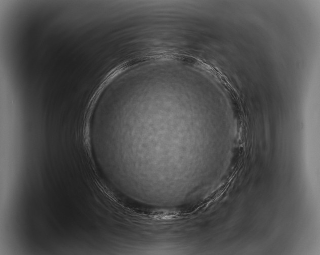 X0000097810099200803201425