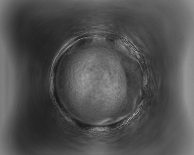 X0000097810101200803201425