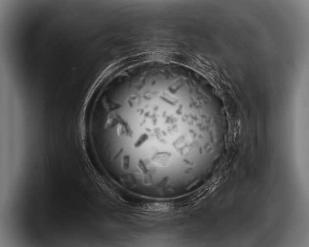 X0000097810102200803201425