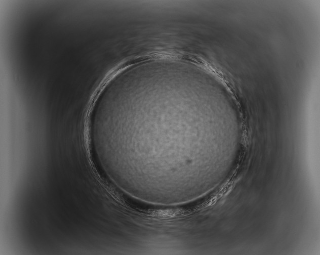 X0000097810103200803201425