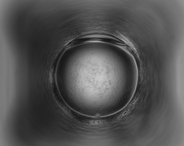 X0000097810105200803201425