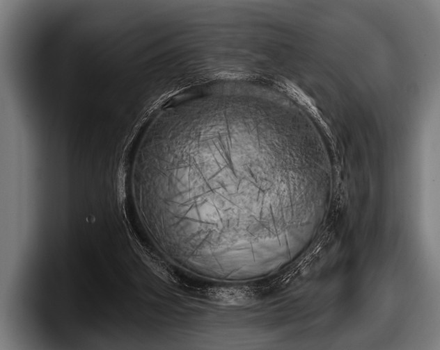 X0000097810106200803201425