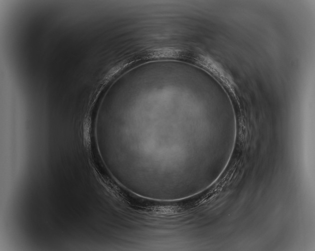 X0000097810107200803201425