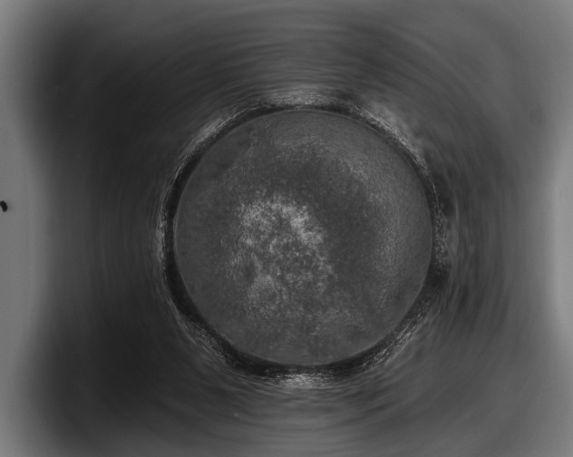 X0000097810111200803201425