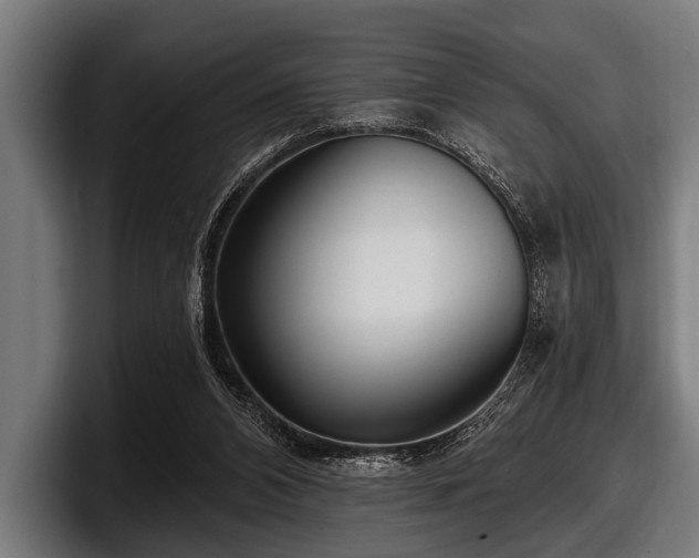 X0000097810112200803201425