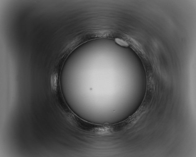 X0000097810118200803201425