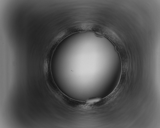 X0000097810120200803201425