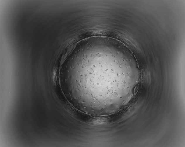 X0000097810127200803201425