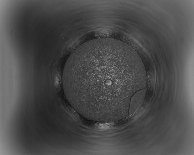 X0000097810134200803201425