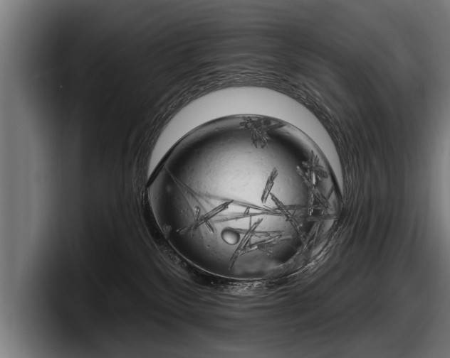 X0000097810136200803201425