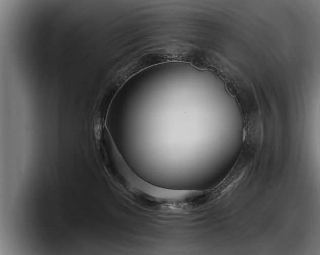 X0000097810137200803201425