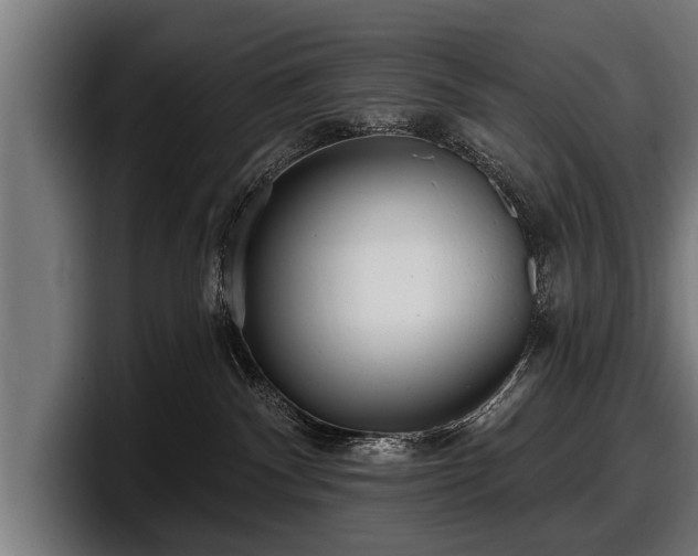 X0000097810140200803201425