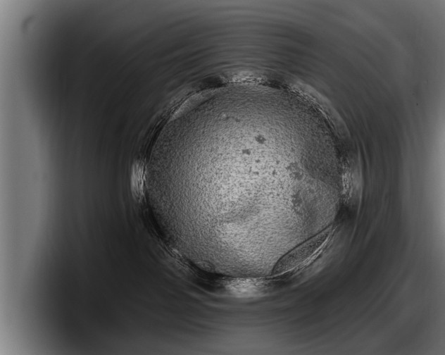 X0000097810142200803201425