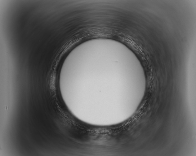 X0000097810146200803201424