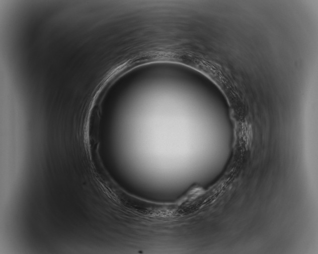 X0000097810148200803201424