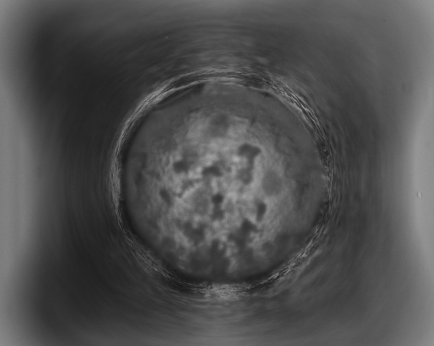 X0000097810149200803201424