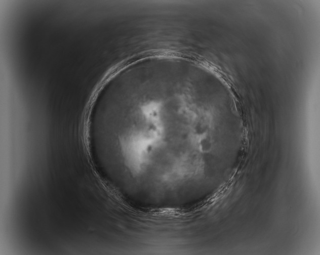 X0000097810151200803201424