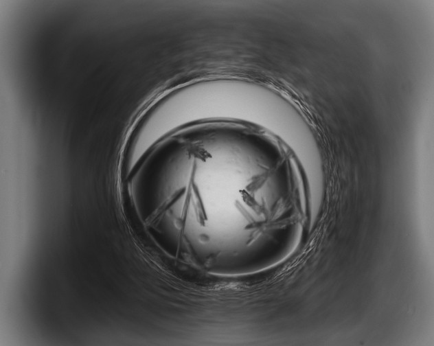 X0000097810152200803201424