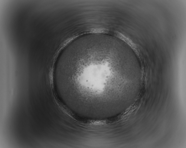 X0000097810155200803201424