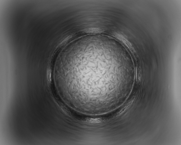 X0000097810157200803201424