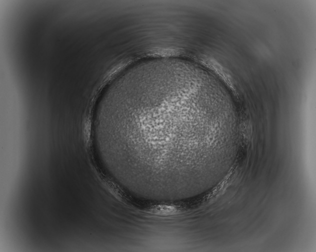 X0000097810159200803201424