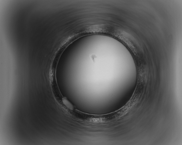 X0000097810160200803201424