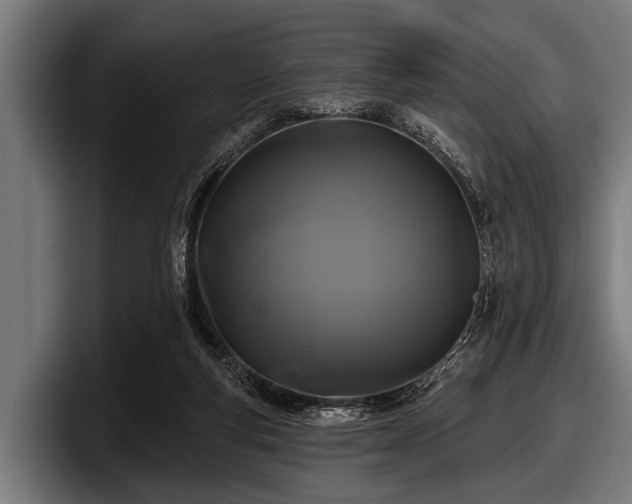 X0000097810163200803201424