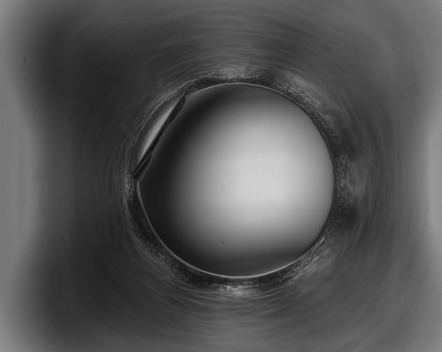 X0000097810164200803201424