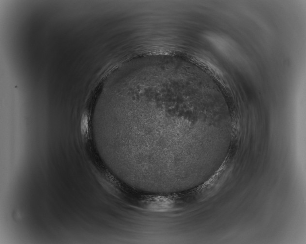 X0000097810166200803201424